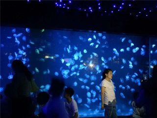 2018 აკრილის jellyfish აკვარიუმი სატანკო მინა