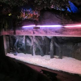 აკრილის აუზი პანელი / ფანჯარა წყალქვეშა ზღვის სამყარო